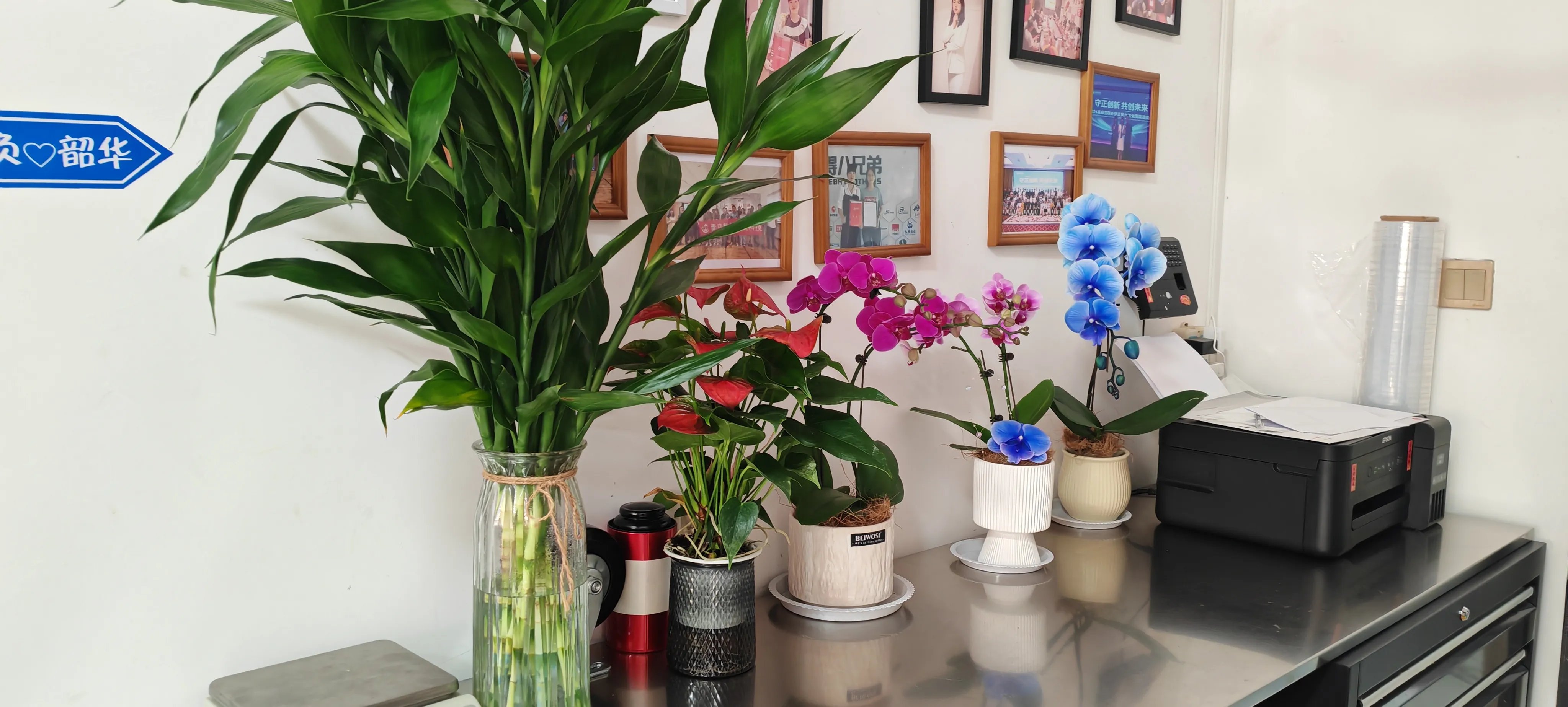 Bienvenue aux nouveaux amis de JOJO Pack !