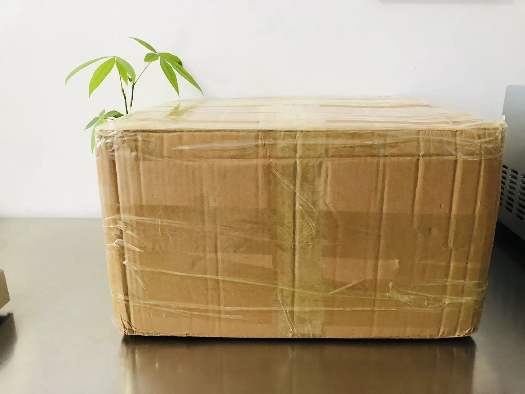 Autocollants époxy solides de dessins animés maintenant en route vers le Japon